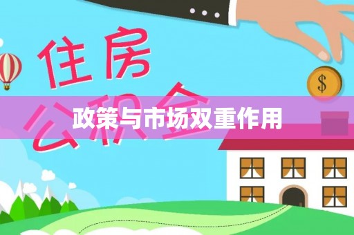 吴川政策与市场双重作用