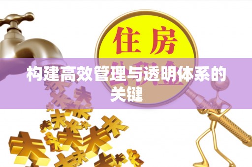 吴川构建高效管理与透明体系的关键