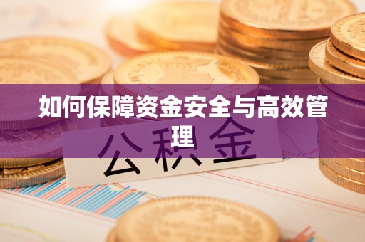 吴川如何保障资金安全与高效管理