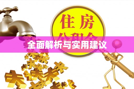 吴川全面解析与实用建议