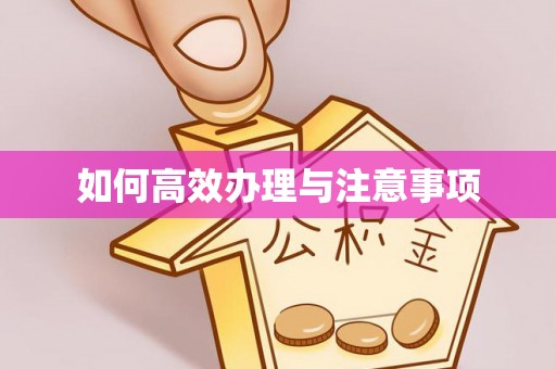 吴川如何高效办理与注意事项