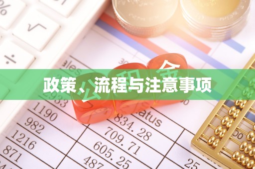 吴川政策、流程与注意事项