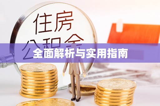 吴川全面解析与实用指南