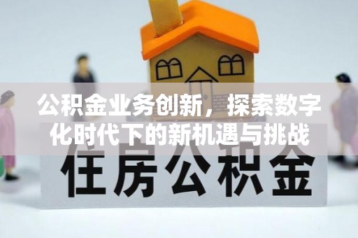 吴川公积金业务创新，探索数字化时代下的新机遇与挑战
