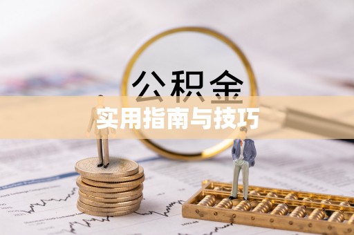 吴川实用指南与技巧