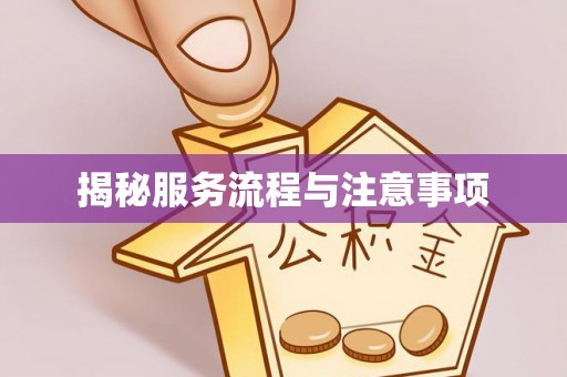 吴川揭秘服务流程与注意事项