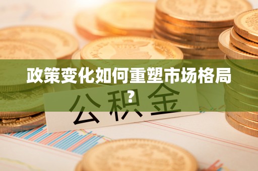 吴川政策变化如何重塑市场格局？