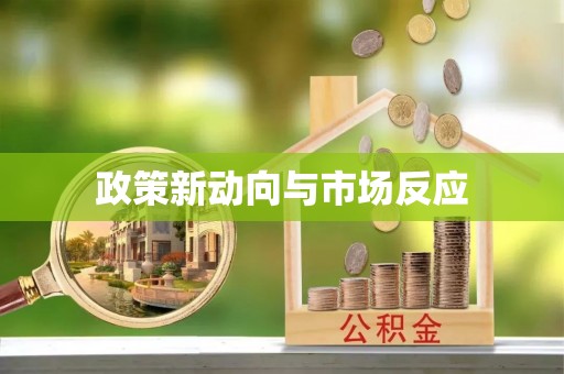 吴川政策新动向与市场反应