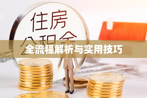 吴川全流程解析与实用技巧