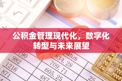 吴川公积金管理现代化，数字化转型与未来展望