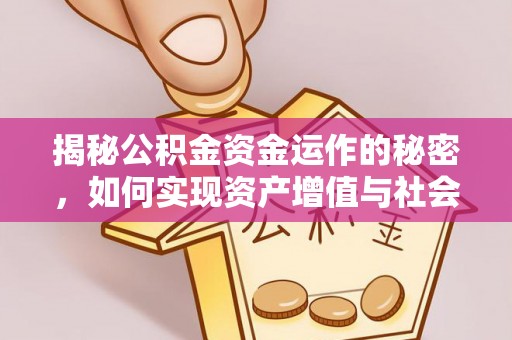 吴川揭秘公积金资金运作的秘密，如何实现资产增值与社会福利双赢？