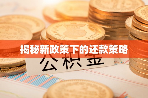 吴川揭秘新政策下的还款策略