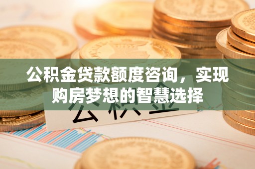 吴川公积金贷款额度咨询，实现购房梦想的智慧选择