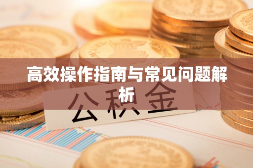 吴川高效操作指南与常见问题解析