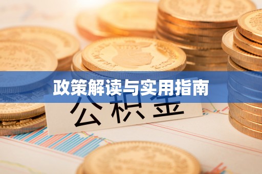 吴川政策解读与实用指南