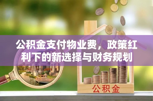 吴川公积金支付物业费，政策红利下的新选择与财务规划