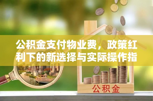 吴川公积金支付物业费，政策红利下的新选择与实际操作指南
