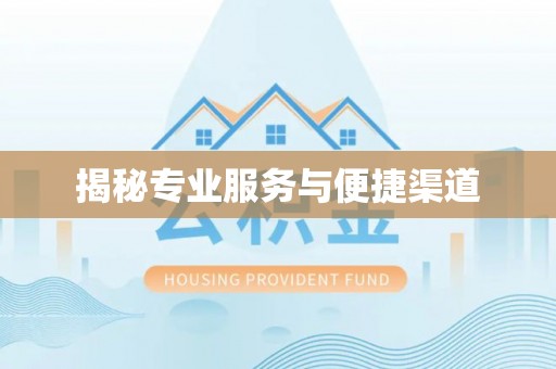 吴川揭秘专业服务与便捷渠道