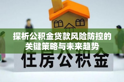 吴川探析公积金贷款风险防控的关键策略与未来趋势