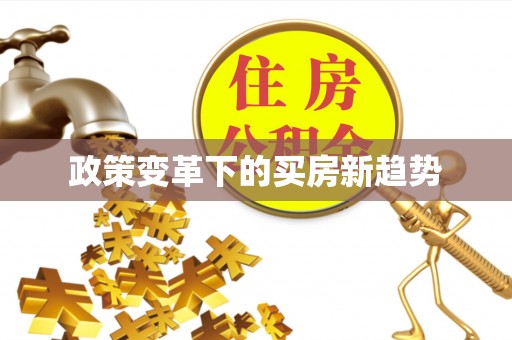 吴川政策变革下的买房新趋势