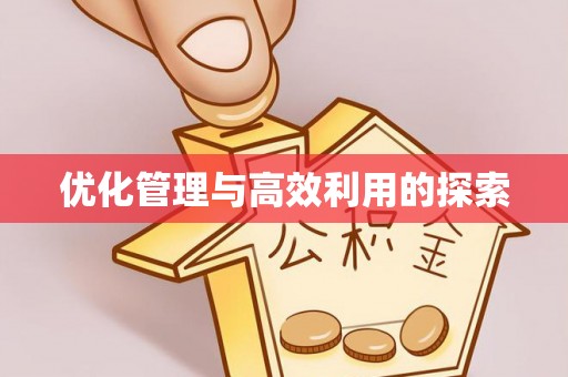 吴川优化管理与高效利用的探索