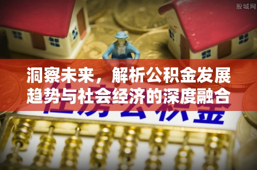 吴川洞察未来，解析公积金发展趋势与社会经济的深度融合