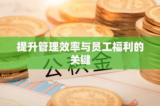吴川提升管理效率与员工福利的关键