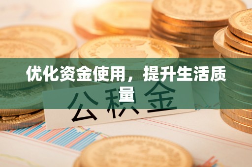 吴川优化资金使用，提升生活质量