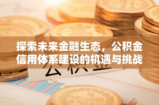 吴川探索未来金融生态，公积金信用体系建设的机遇与挑战