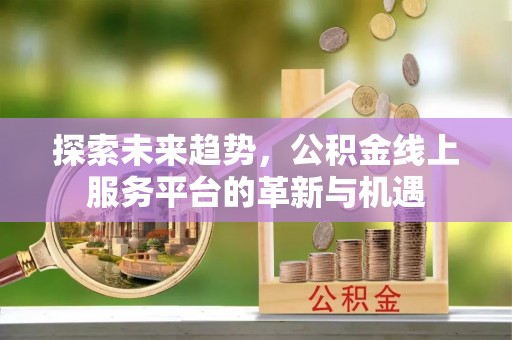 吴川探索未来趋势，公积金线上服务平台的革新与机遇