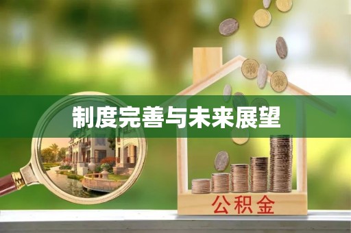 吴川制度完善与未来展望