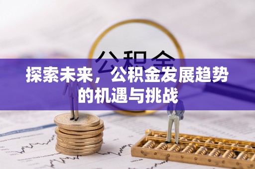 吴川探索未来，公积金发展趋势的机遇与挑战