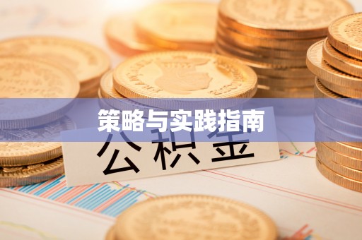 吴川策略与实践指南