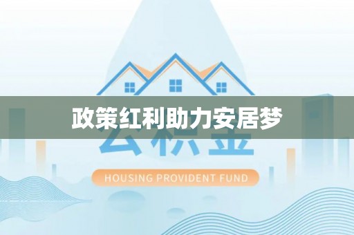 吴川政策红利助力安居梦