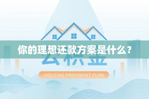吴川你的理想还款方案是什么？