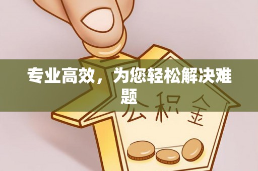 吴川专业高效，为您轻松解决难题