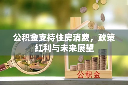 吴川公积金支持住房消费，政策红利与未来展望
