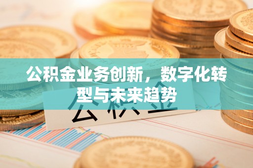吴川公积金业务创新，数字化转型与未来趋势