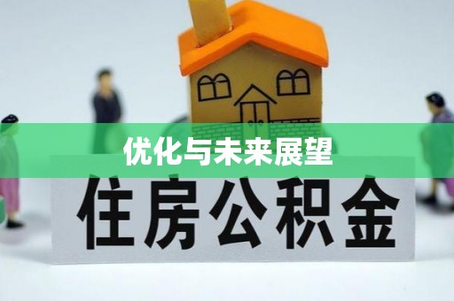 吴川优化与未来展望