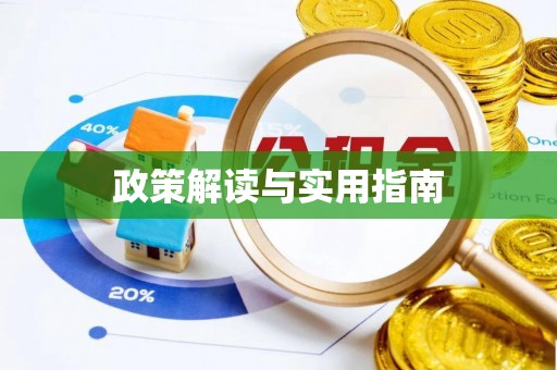 吴川政策解读与实用指南