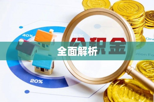 吴川全面解析