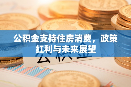吴川公积金支持住房消费，政策红利与未来展望