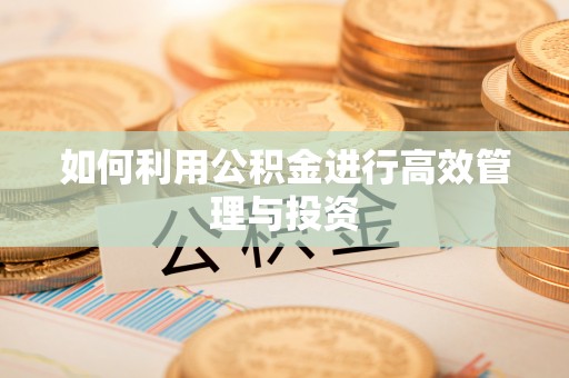 吴川如何利用公积金进行高效管理与投资