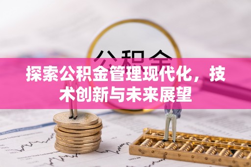 吴川探索公积金管理现代化，技术创新与未来展望