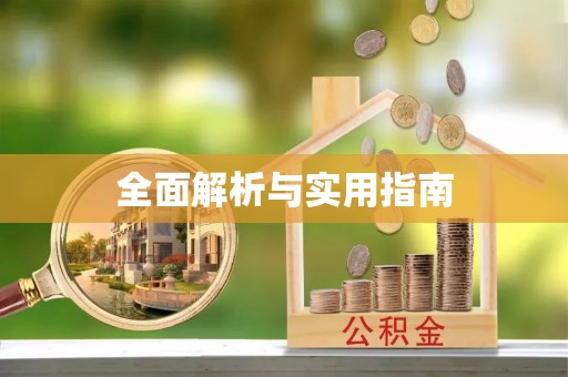 吴川全面解析与实用指南
