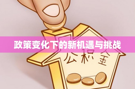 吴川政策变化下的新机遇与挑战