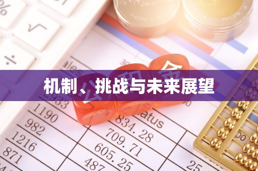 吴川机制、挑战与未来展望