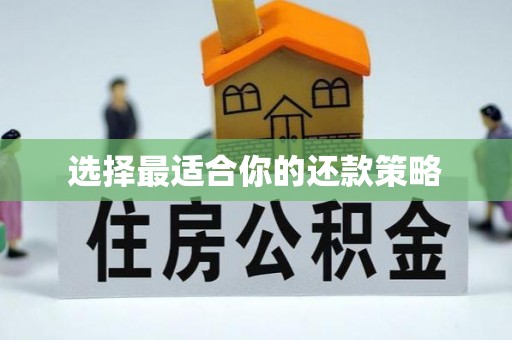 吴川选择最适合你的还款策略