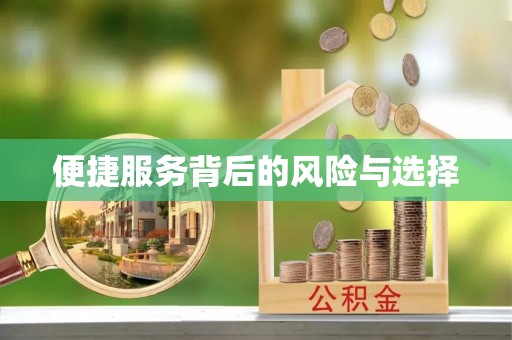 吴川便捷服务背后的风险与选择