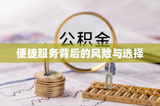 吴川便捷服务背后的风险与选择